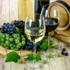 紅葡萄酒與白葡萄酒有什麼差別？